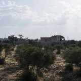 ...e poco pi� avanti l�antica masseria Arbinetto, che indisturbata giace immersa da secoli nel verde